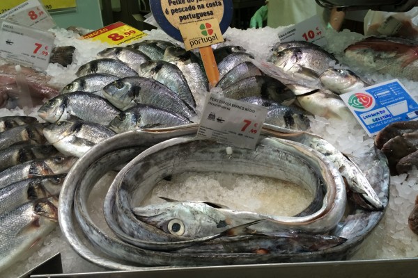 #pb_rslider_caption-1-7 Some sort of eel?